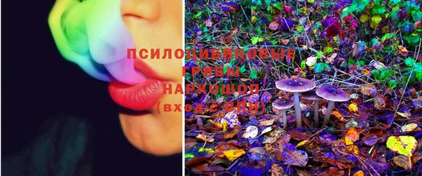 синтетический гашиш Алексин