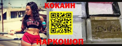 a pvp Новозыбков