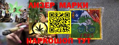 a pvp Новозыбков