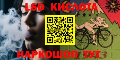 a pvp Новозыбков