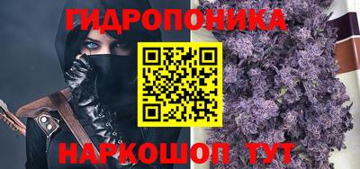 a pvp Новозыбков