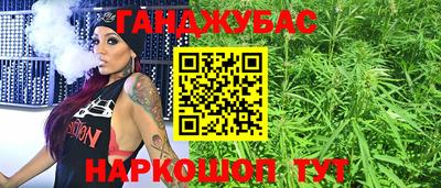 a pvp Новозыбков