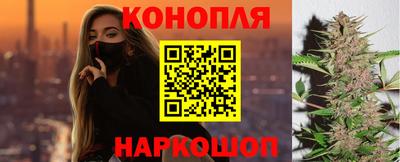 a pvp Новозыбков