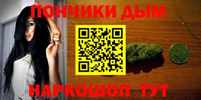 сатива Новодвинск