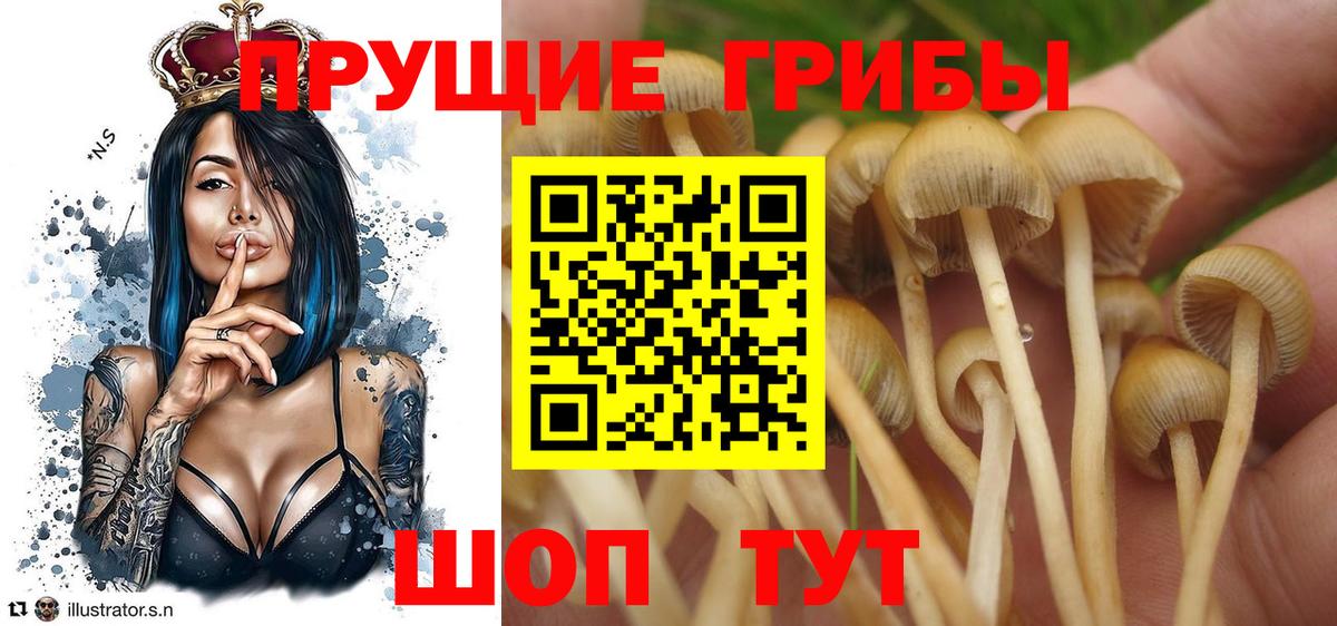 Мефедрон  Вход с VPN  ГАШ  МЕФ   ЭКСТАЗИ  Тосно  ГАШИШ 