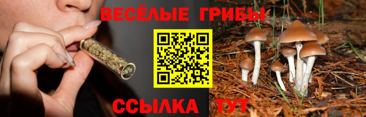 Псилоцибиновые грибы ЛСД Тосно
